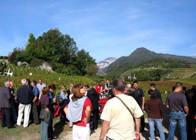 Vignes Chignn dégustation